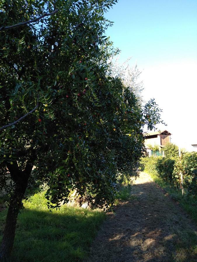 "Country House Il Brolo" بولبينازي ديل جاردا المظهر الخارجي الصورة